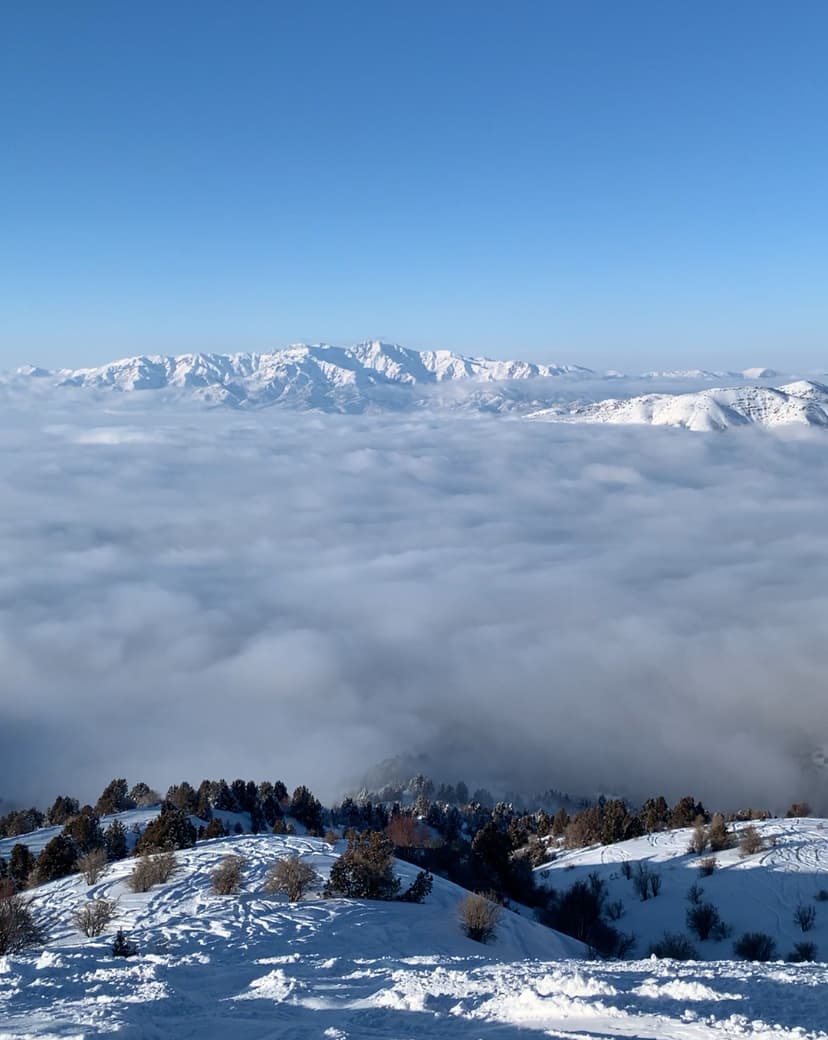 So indeed, with hardship comes ease.